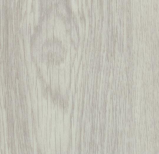 White Giant Oak